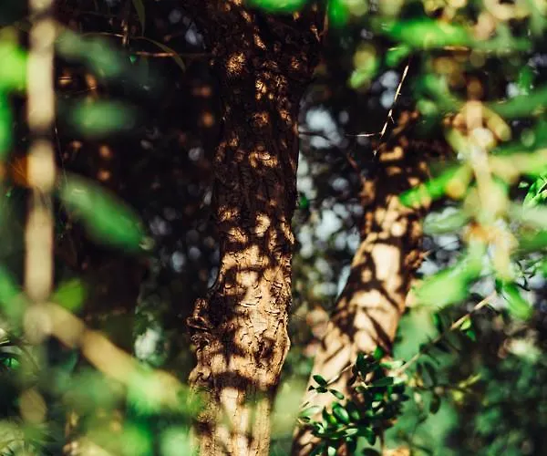 Hotel apartamentowy Lph - Dannunziano